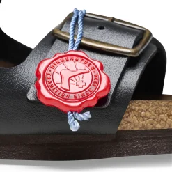 Birkenstock Two-Strap Sandals<Arizona Black